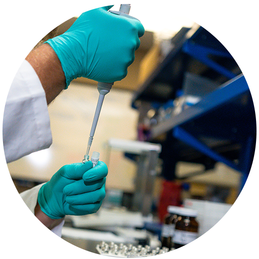 Laboratory setting with gloved hands using a pipette.