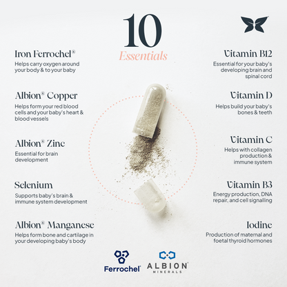 Infographic of 10 essential prenatal vitamins and minerals, including iron (Ferrochel®), Albion® zinc, copper, selenium, manganese, vitamin B12, vitamin D, vitamin C, vitamin B3, and iodine, with benefits for pregnancy health, baby development, and maternal well-being.