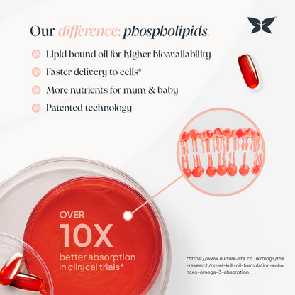 Infographic highlighting the benefits of phospholipids in supplements, including higher bioavailability, faster cell delivery, more nutrients for mother and baby, and patented technology. Includes a red capsule, a phospholipid bilayer illustration, and text stating “Over 10X better absorption in clinical trials.