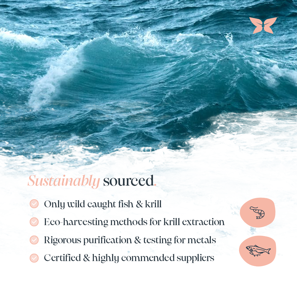 Infographic titled 'sustainably sourced' with an image of the ocean. Benefits highlighted: Only wild caught fish & krill, eco-harvesting, purification and certified suppliers. 