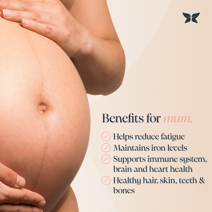 Nurture®Bundle: Complete Pregnancy Supplement Support