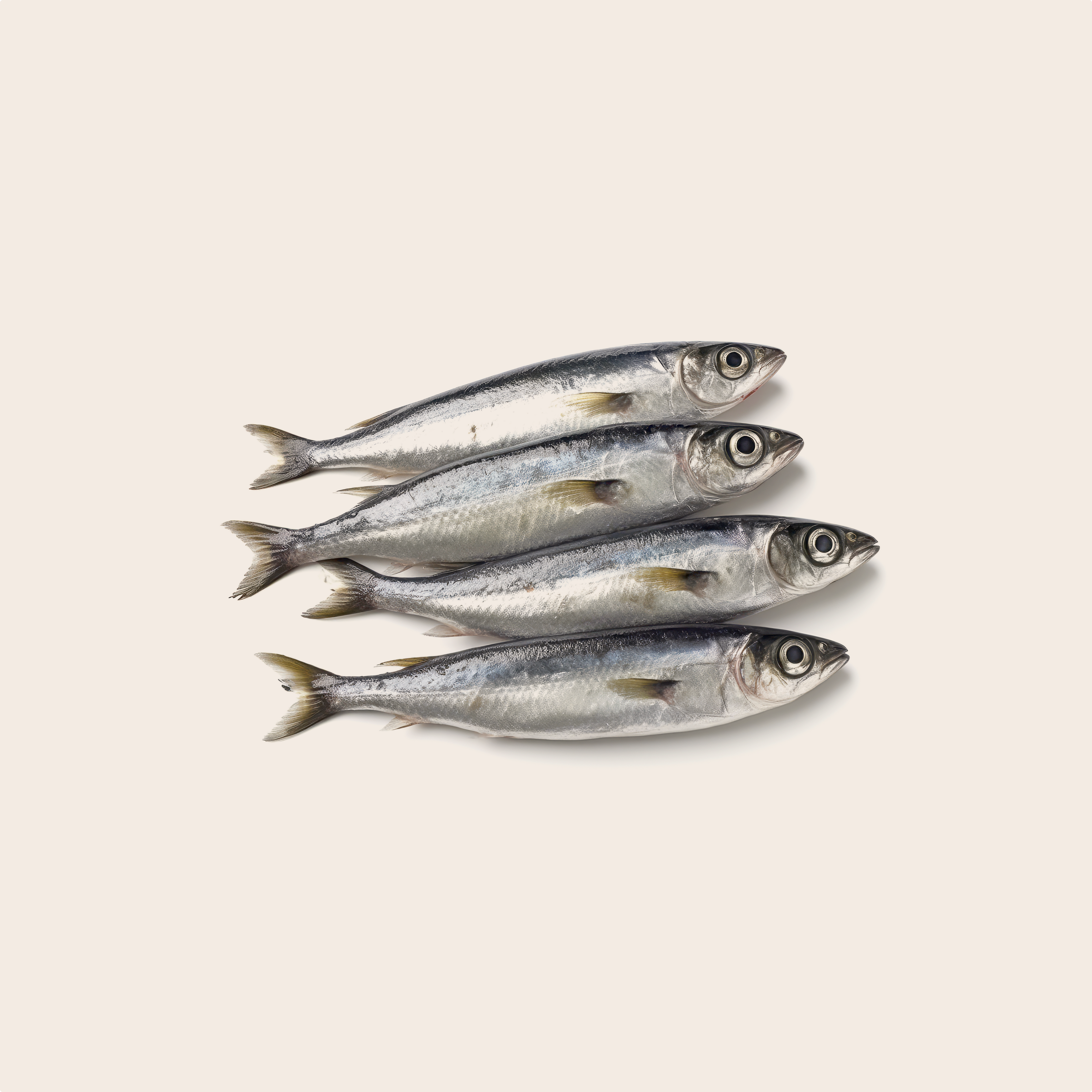 Four sardines against a cream background 