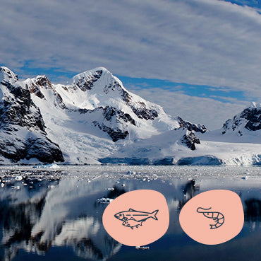 Snowy mountain range reflected in calm water under a cloudy sky, with a decorative icon of a krill  and wild fish on a pink background overlaid. 