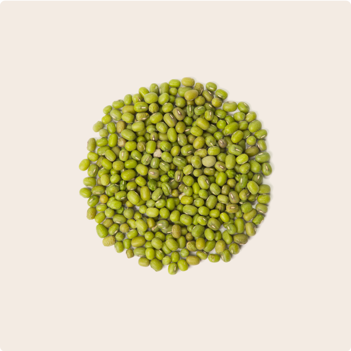Pile of mung beans against a cream background 