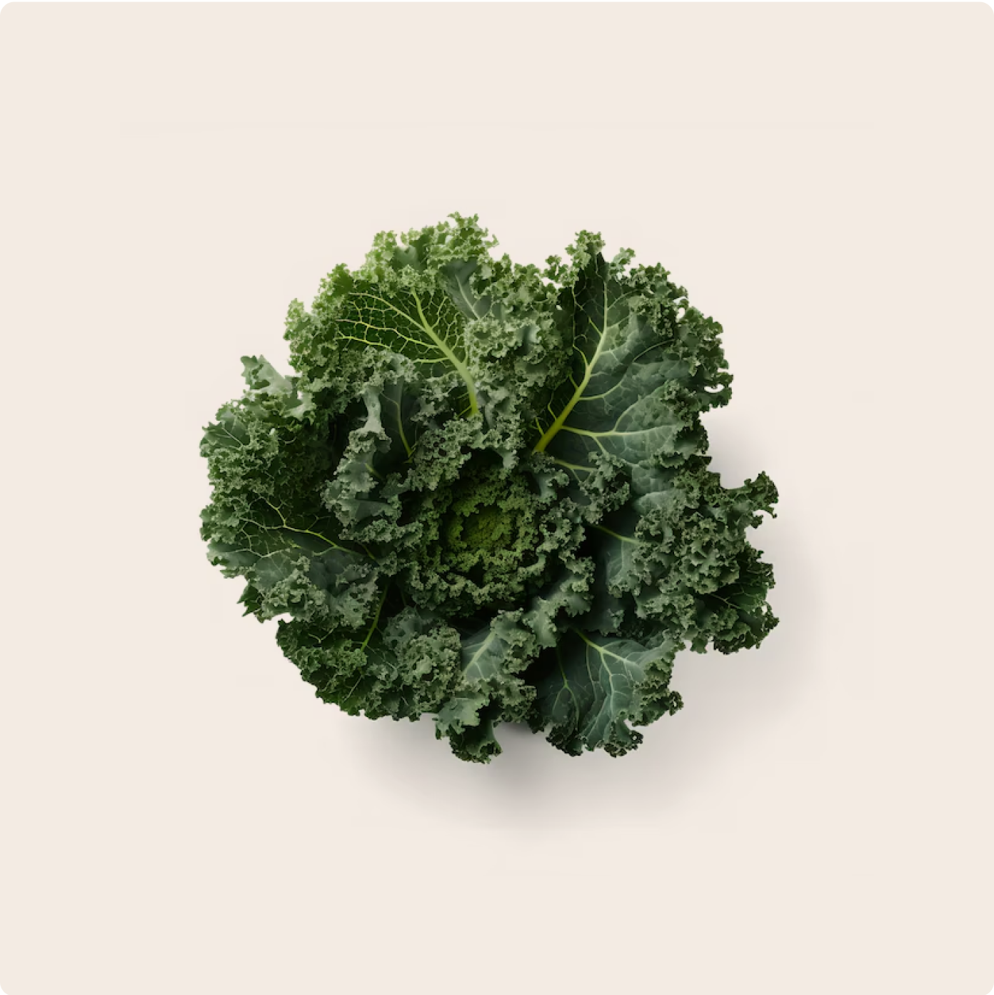 Fresh kale leaves against a cream background