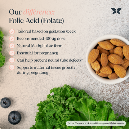 NurtureMulti™ | Pregnancy Multivitamin with Vitamin D & Folic Acid