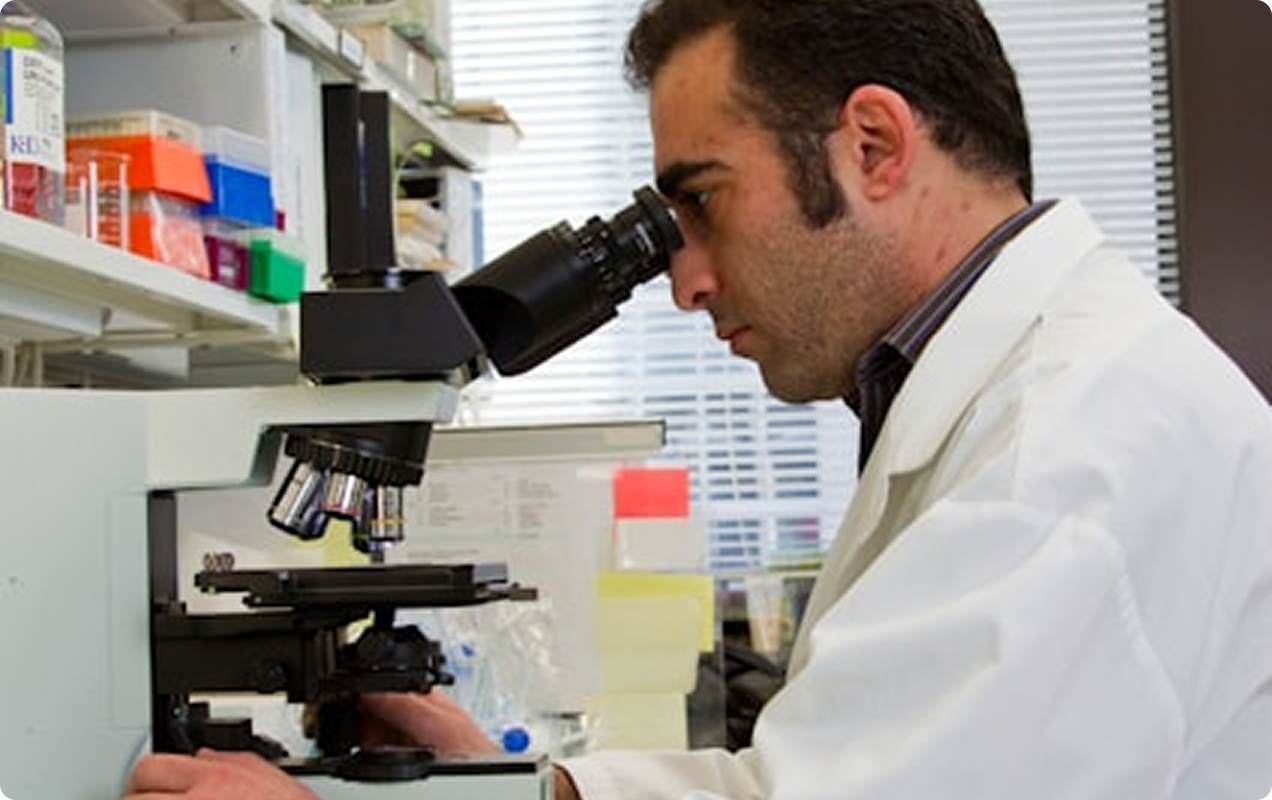 Scientist looking through a microscope in a medical setting. 