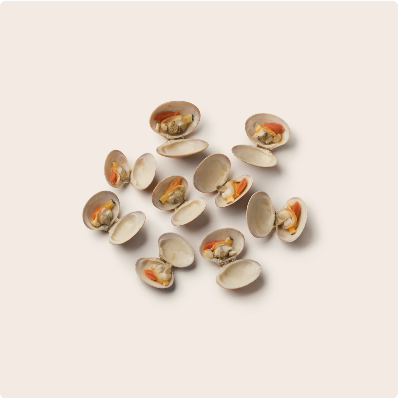 Nine open clams, on a plain cream background, high in VitaminB12